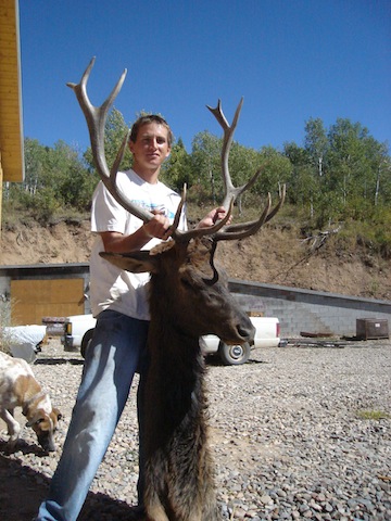 2007 elk 004