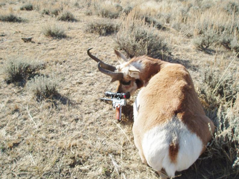 2007 Wyoming 25 Bullberry RPM
