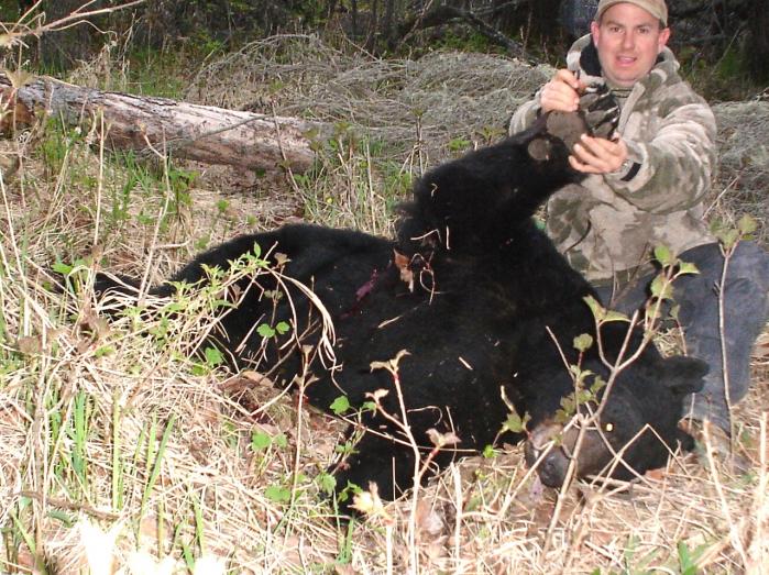 2008 black bear 2
