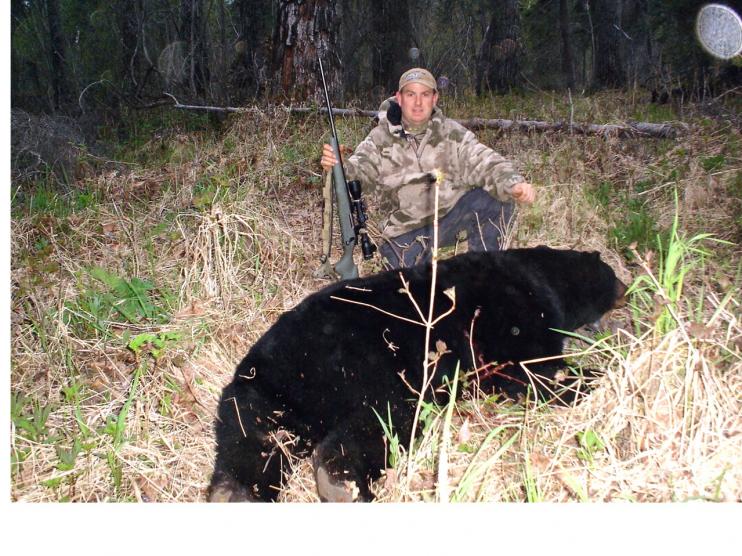 2008 black bear