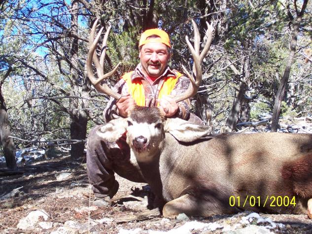 2008 CO Deer( pic date stamp wrong)