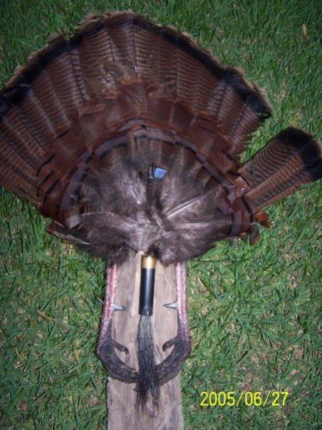 2008 Spring Turkey