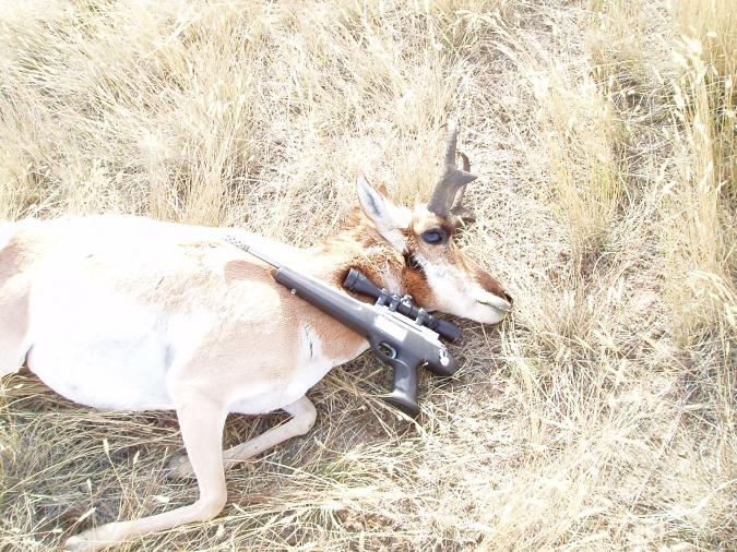 2008 Wyoming 300 WSM Striker