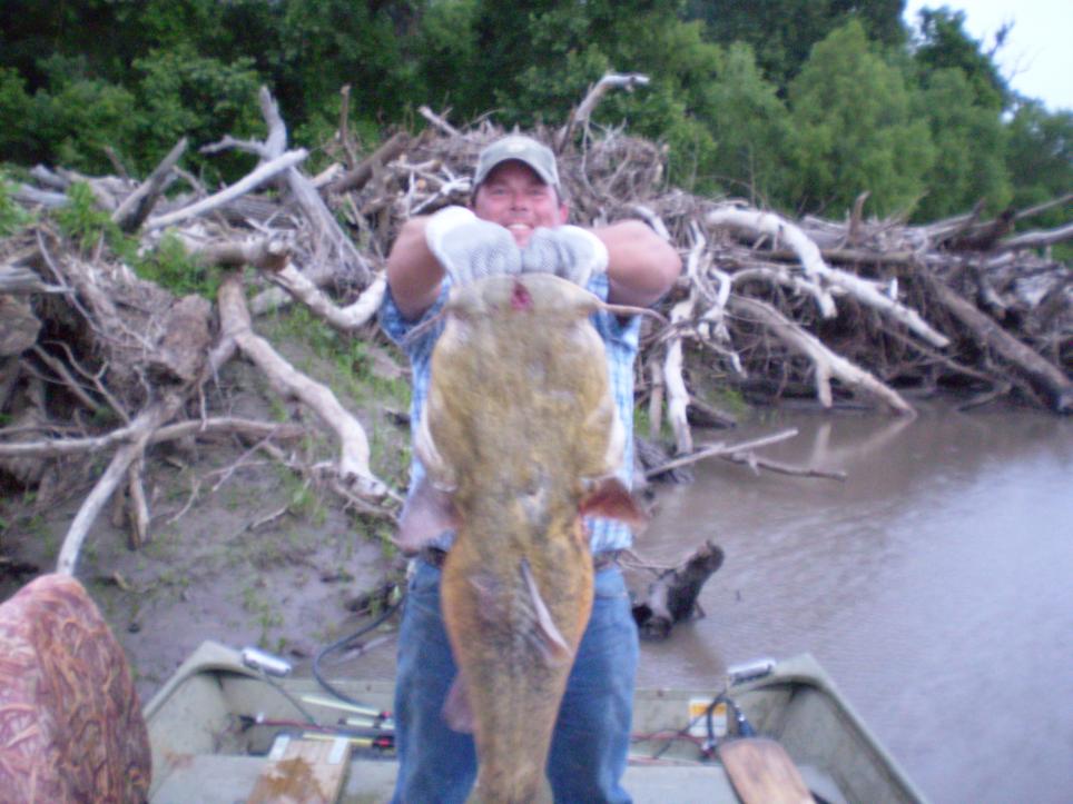 2009 60lb flathead