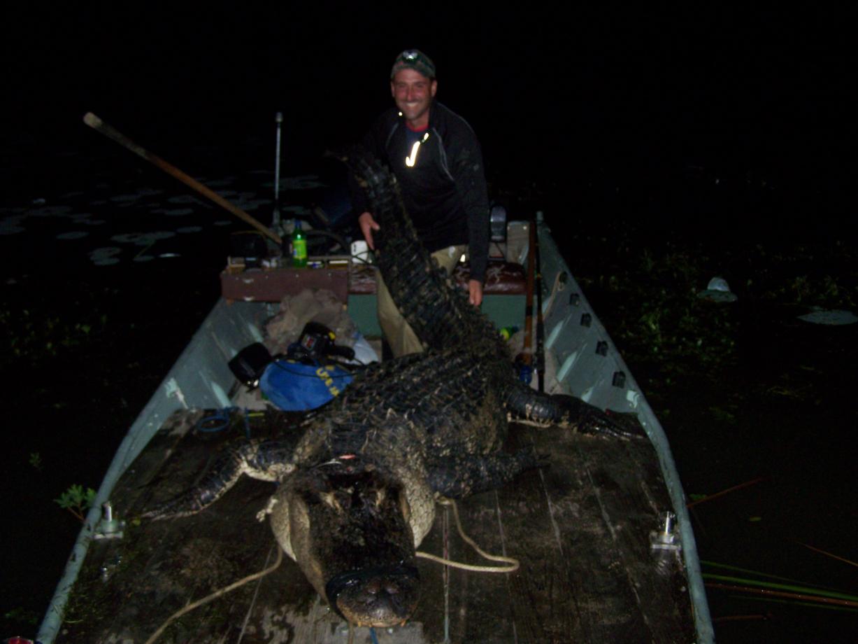 2009 south carolina alligator hunt 085