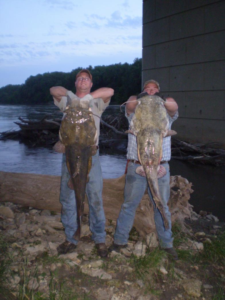 2010 37 &amp; 50lb flathead