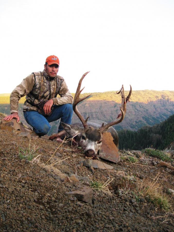2010 deer
