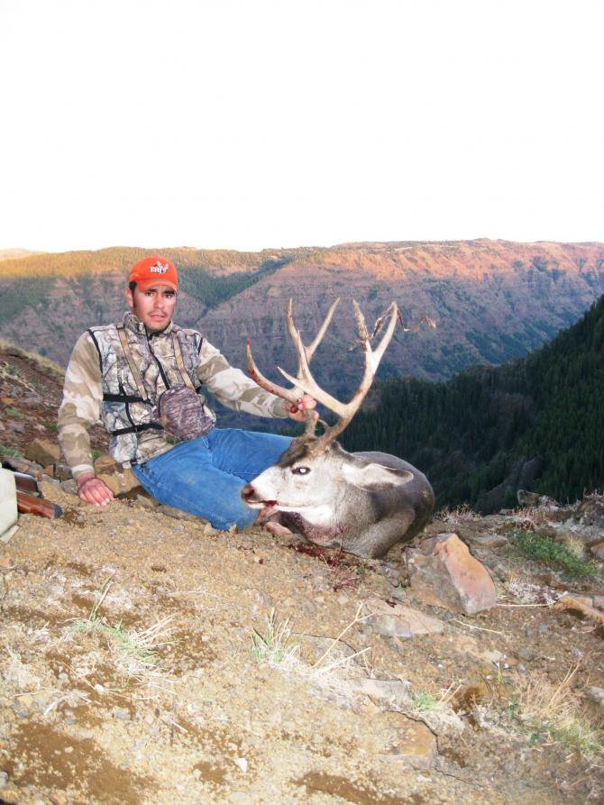2010 deer