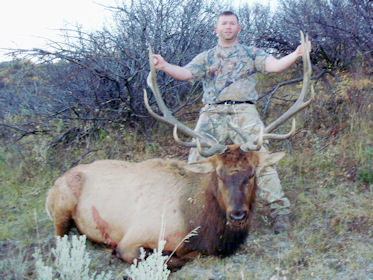 2010 Elk
