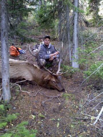 2010 Idaho elk