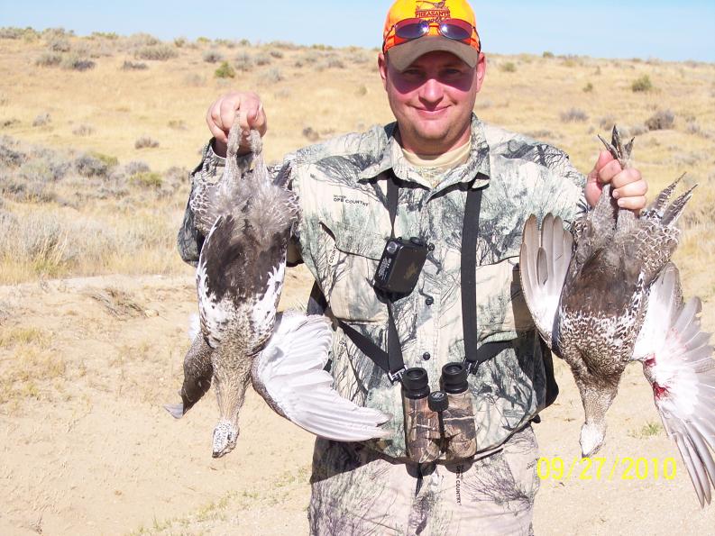 2010 Wy Sage Grouse