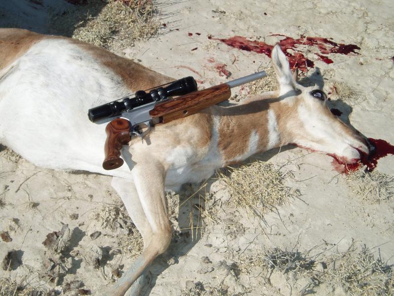 2010 Wyoming 25/06 Encore Handgun-227 yds