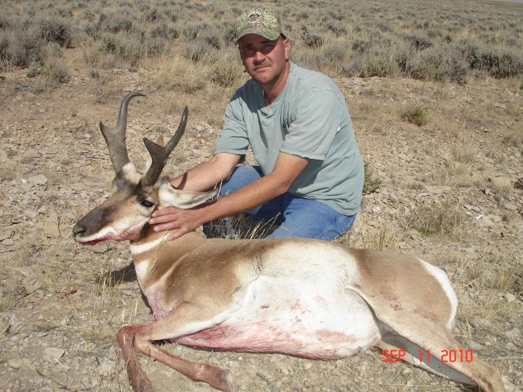 2010 Wyoming Antelope