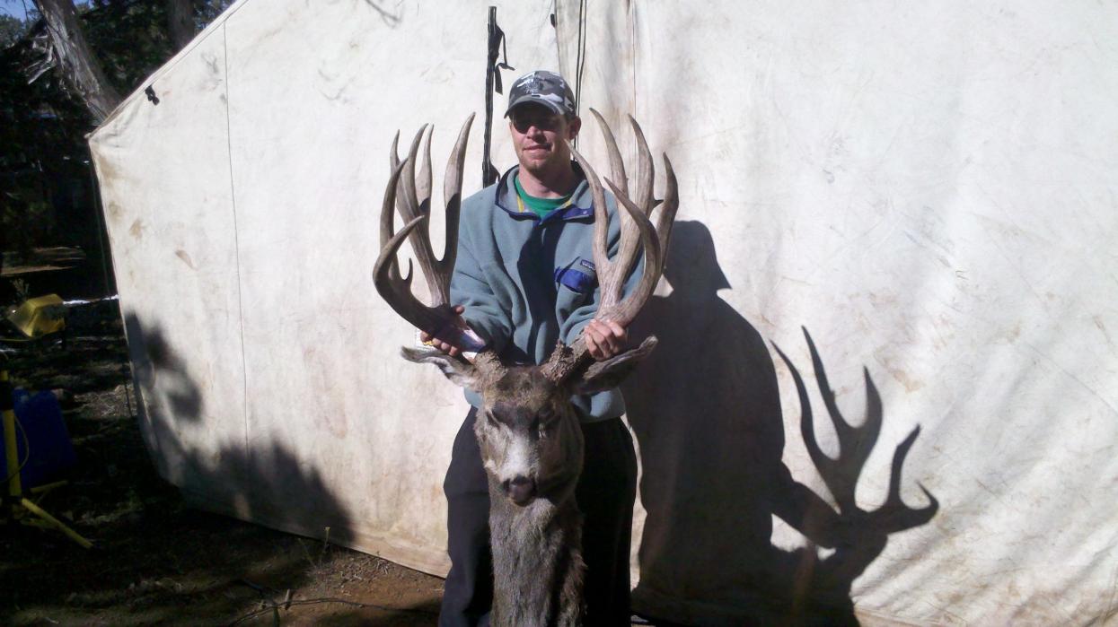 2011 Az Strip Casey Carr 252 Gross