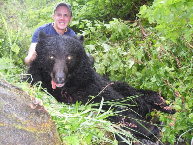 2011 bear