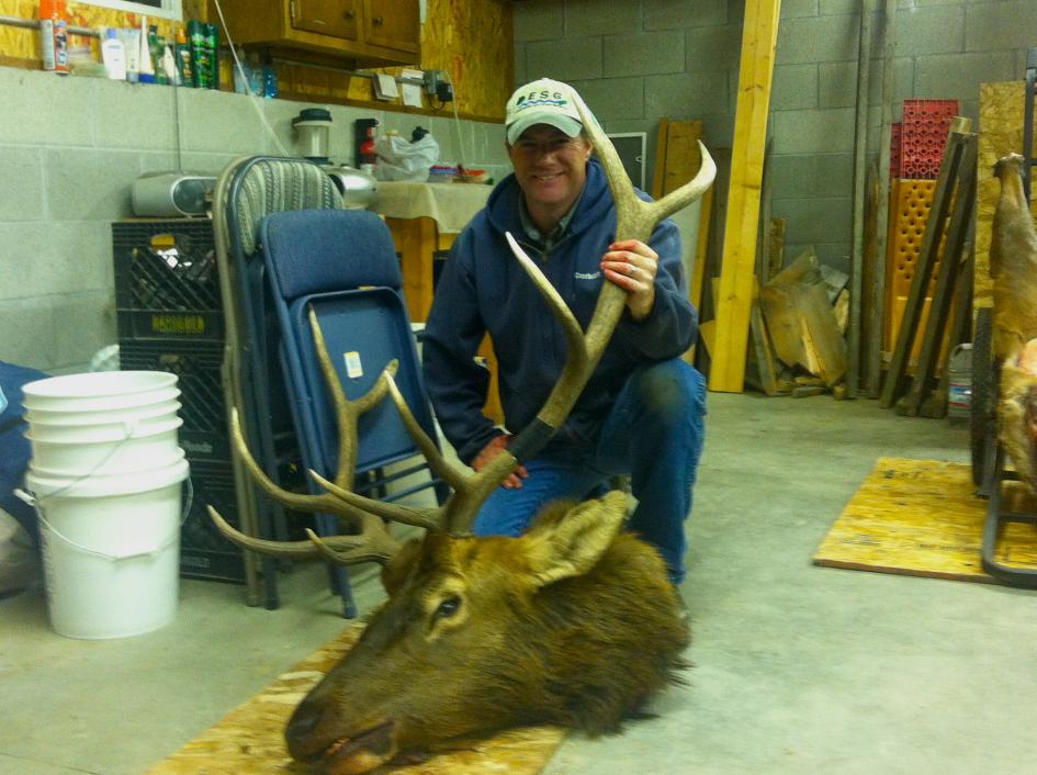 2011 bull
