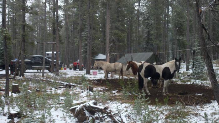 2011 Elk Camp