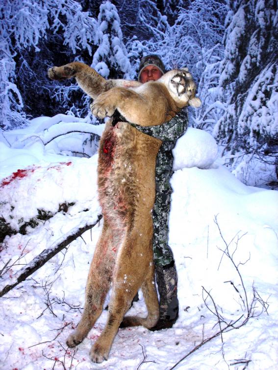 2011 Mtn Lion 014
