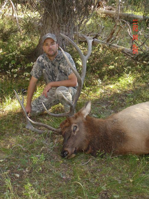 2011 Wyoming Archery Bull