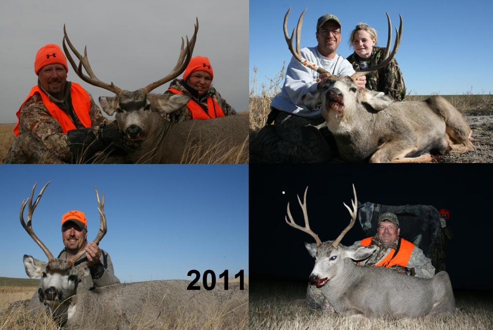 2011Group