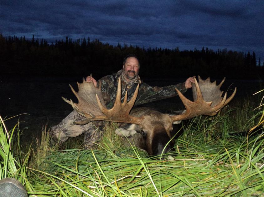 2012 Alaska Moose