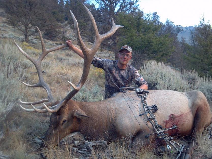 2012 Bull. 314'' OTC