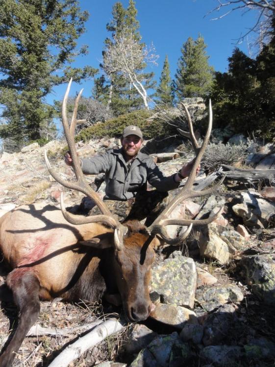2012 Bull Elk