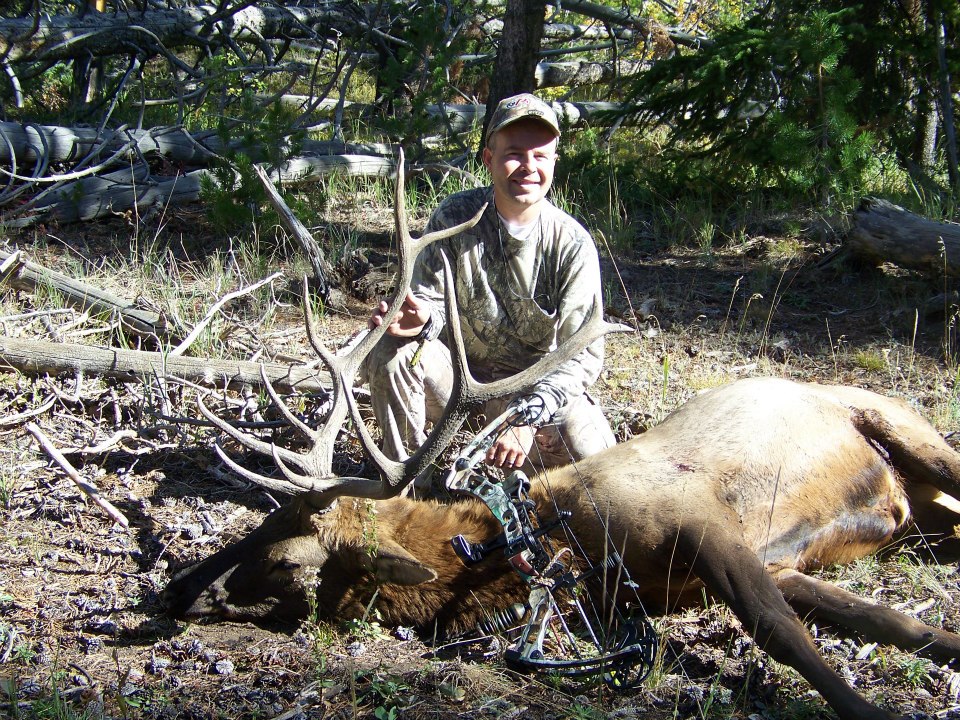 2012 bull.jpg