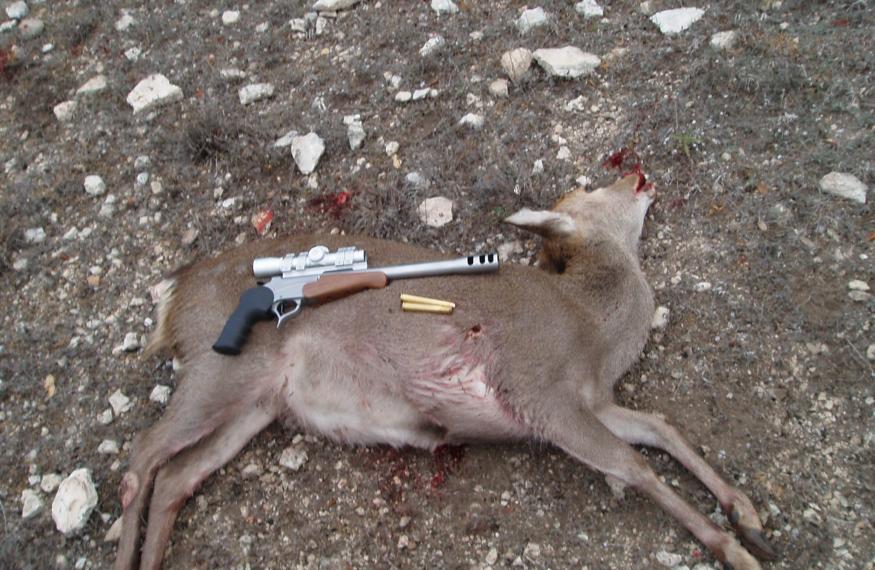 2012 -Sika Doe SSK Encore 470 Nitro Express Pistol-400 gr. cast bullet-56 yards.