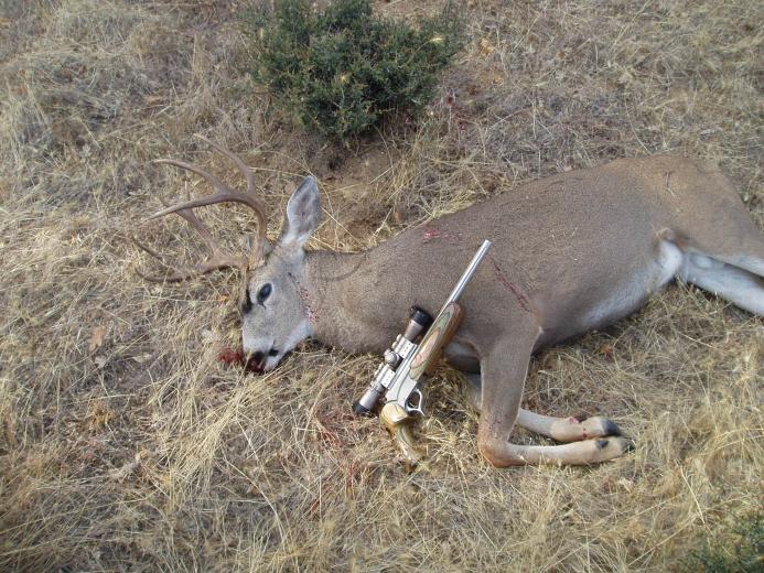 2012-Trinity County 4x3 Blacktail-30/06 Encore Pistol