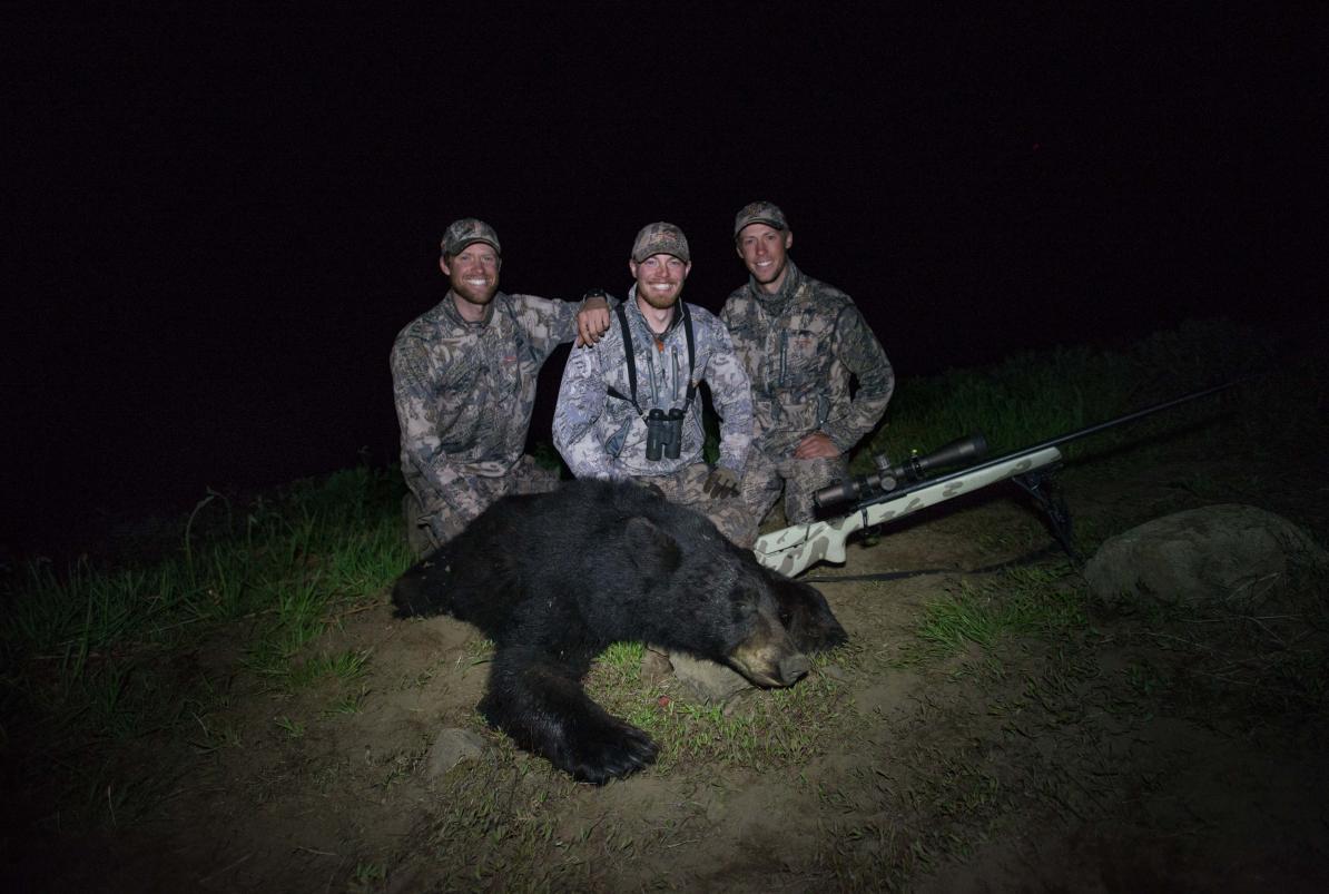 2013 Idaho Bear