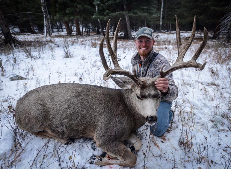 2013 Mule Deer