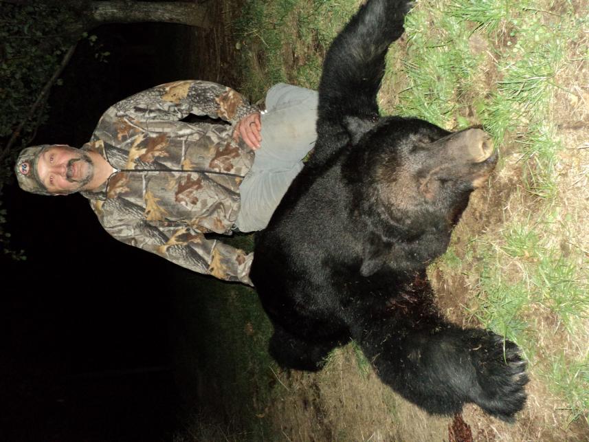 2013 OR Black Bear