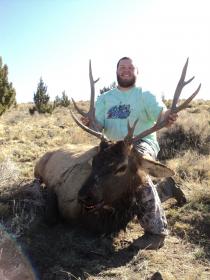 2013 OR Elk (Dylan)