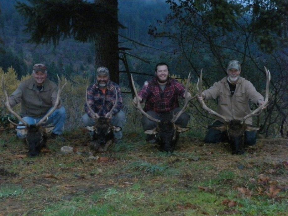 2013 OR Elk (group)