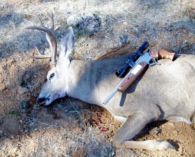 2013- Trinity County Columbian Blacktail 4x3.  Encore 25/06-75 yds.-115 gr. Nosler Ballistic Tip