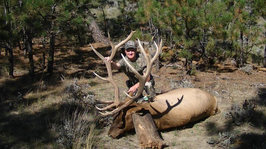 2014 Bull