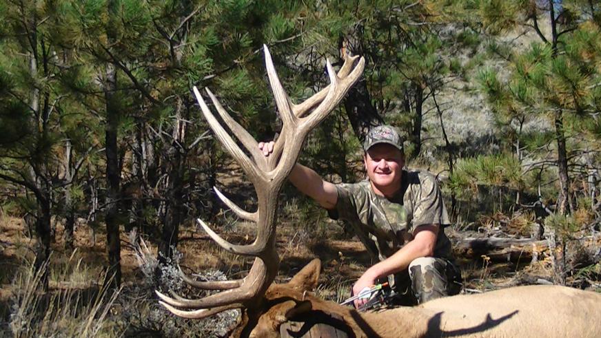 2014 Bull