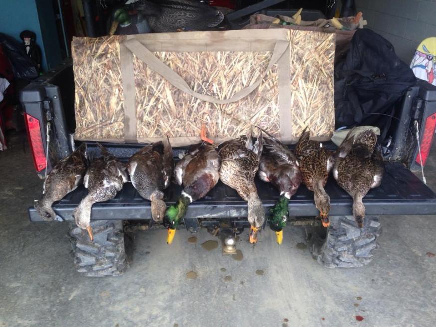 2014 Duck