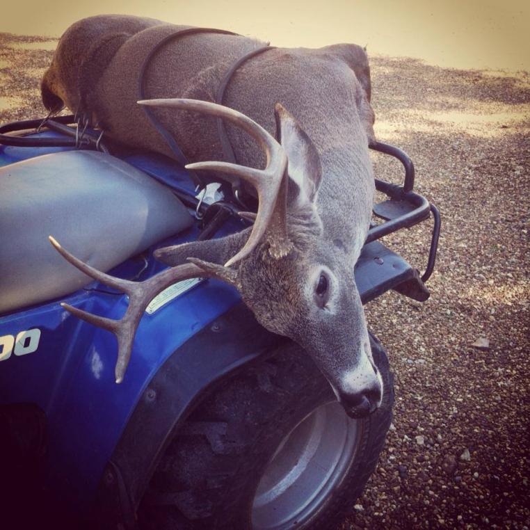 2014 Muzzle Loader Buck
