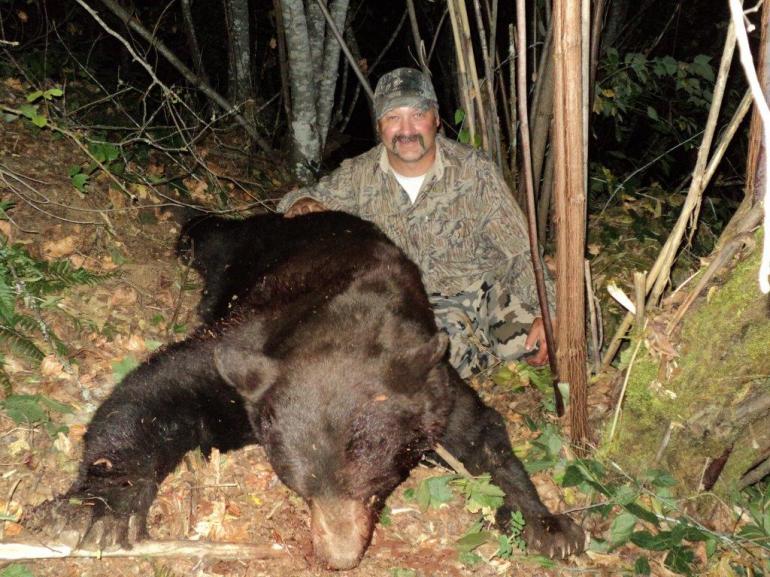 2014 OR Bear