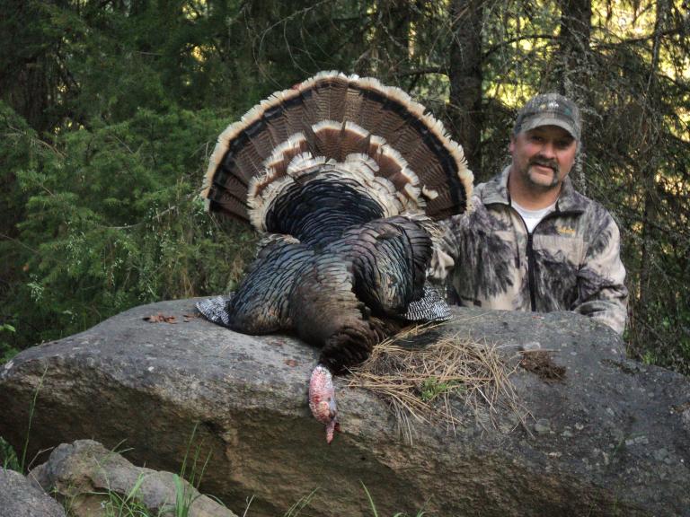 2014 OR Spring Turkey #2