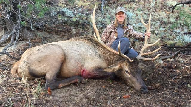 2016 WY - Wife's first bull, archery (crossbow)