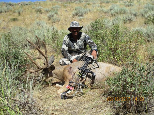 2017 NV Archery