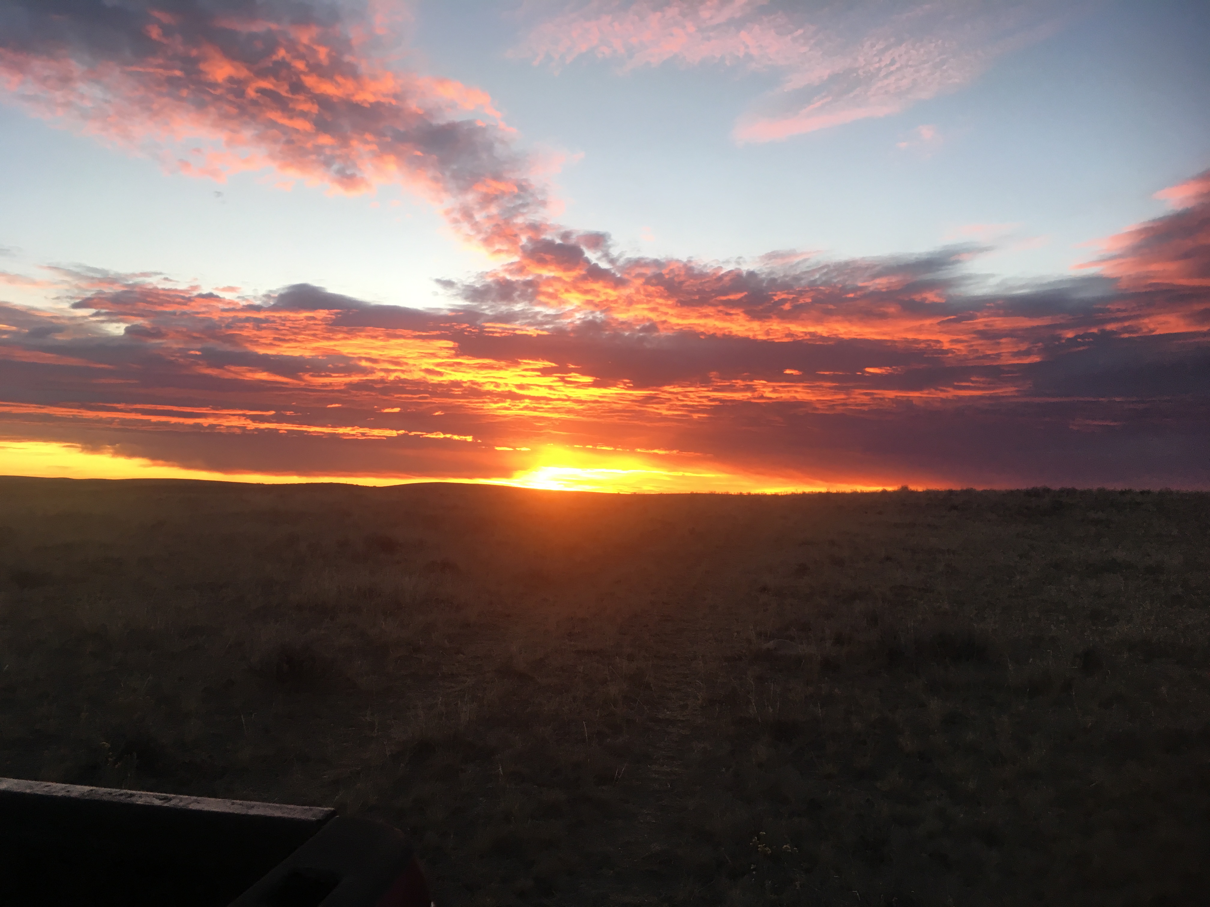 2019 turkey hunt 077.JPG