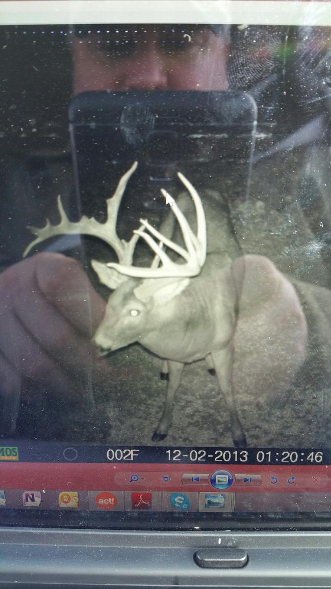 220+ buck prior to breaking its tallest tines