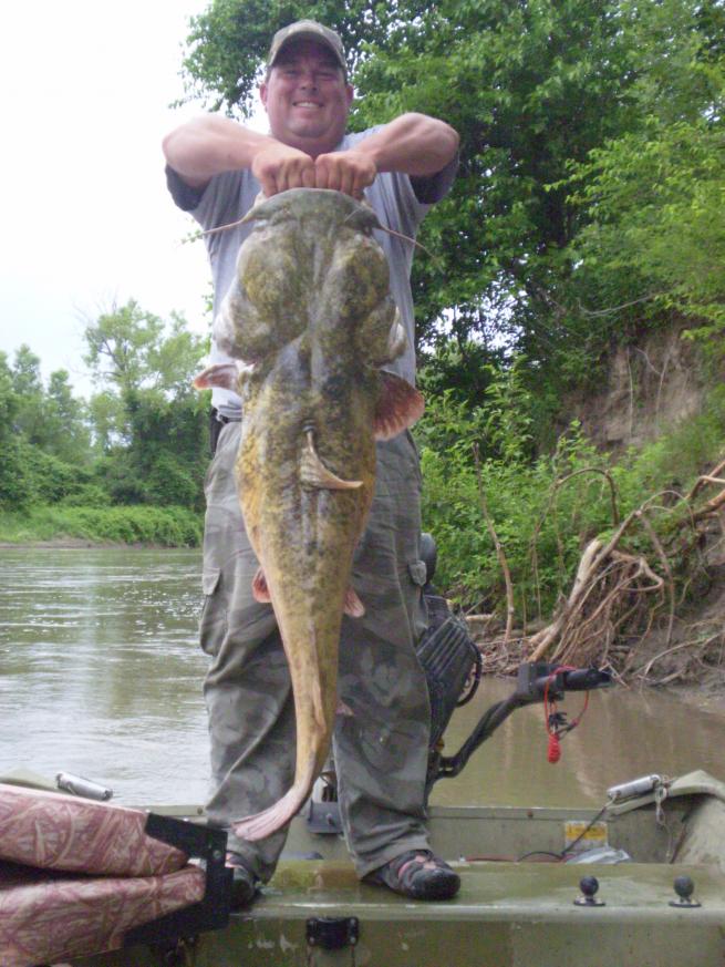 6-8-10  62lb flathead