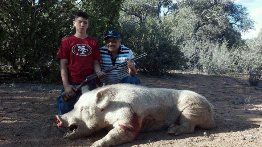 600lbs