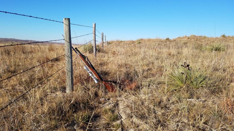 7MAG on wire fence