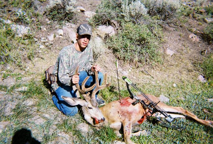 833082 R1 00 17A 001